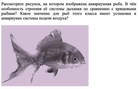 Историческое значение снов о загрязненных аквариумах с рыбами