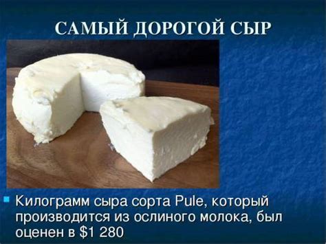 История балыкового сыра