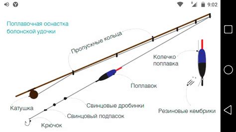 История болонской удочки