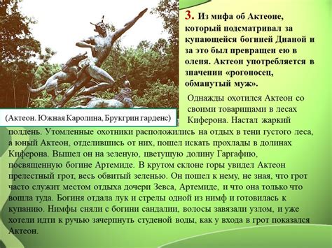 История выражения "погонять лысого"