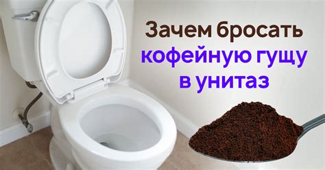 История дрессировки собаки кофейной гущи