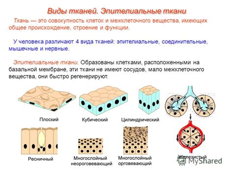 История и происхождение пестротканной ткани