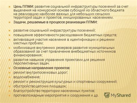 История и развитие ППМИ