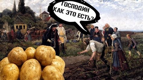 История картофеля