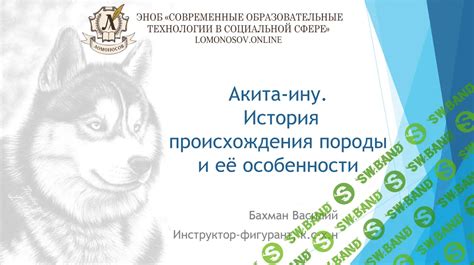 История происхождения породы и её название