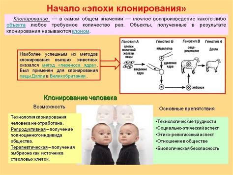 История развития клонирования себя