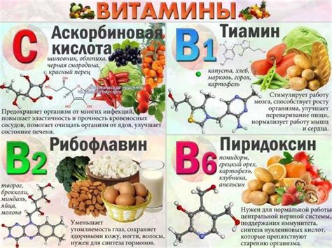 Источники витамина роста для естественного приема