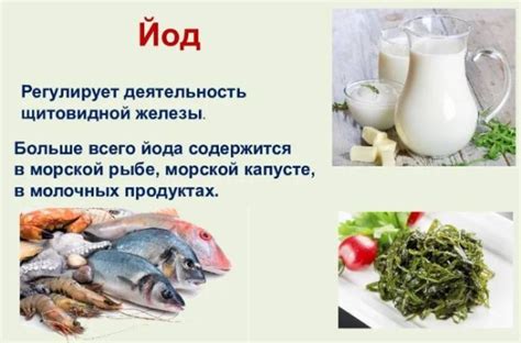 Источники гормонов: какие продукты стоит включить в рацион