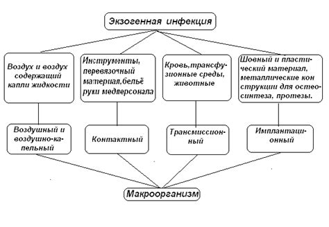 Источники использования и распространения выражения