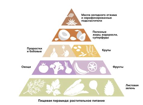 Источники омрачения