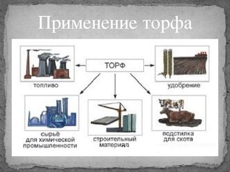 Истребование материалов: значение в современном мире