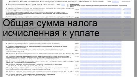 Исчисленная сумма налога: понятие и положение в налоговой системе