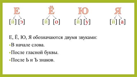 Йотированные гласные: понятие и значение