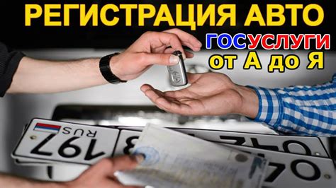 Какая информация скрыта за номерами авто в Украине?