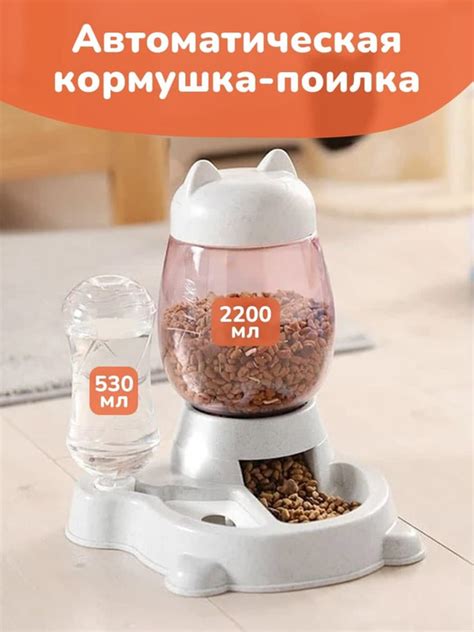 Какая кормушка для кошки поможет устранить запах?