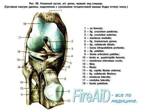 Какая роль блокады колена в повреждениях сустава?