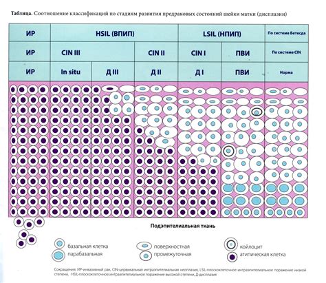 Какие бывают варианты результатов цитологии, помимо NILM?