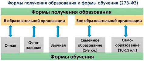 Какие бывают причины овоидного образования?