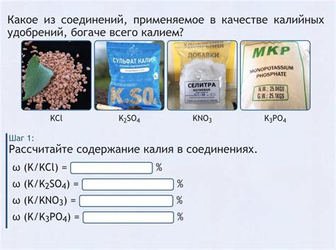 Какие вещества содержатся в напитках?