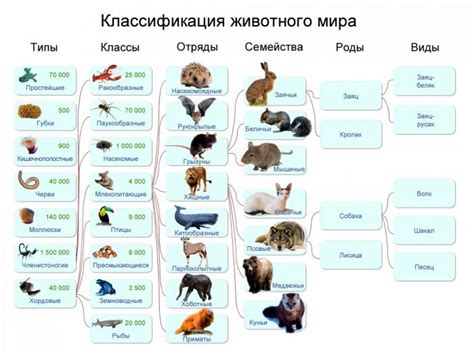 Какие виды животных испытывают гон?