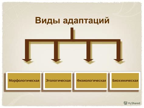 Какие виды меновых дворов существуют?