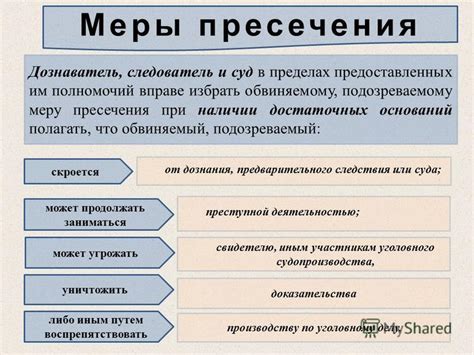 Какие виды мер пресечения считаются избранными?