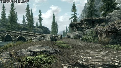 Какие визуальные помехи могут возникать в Skyrim?