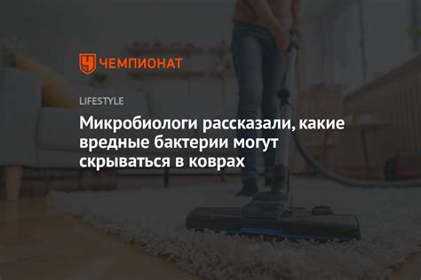 Какие вредные микроорганизмы могут скрываться в полости рта?