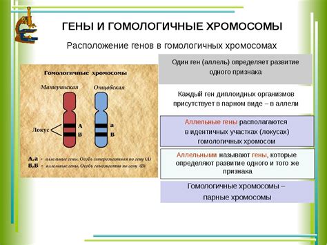 Какие гены являются аутосомно-рецессивными?