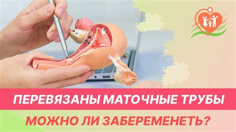 Какие действия можно предпринять, если маточные трубы не сканируются?