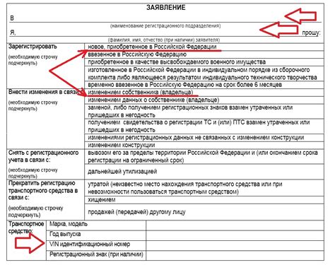 Какие документы нужны для регистрации заявления?