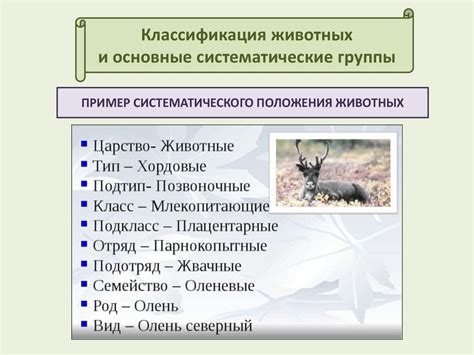 Какие категории животных подлежат лицензированию