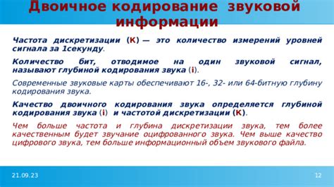 Какие клетки обеспечивают переработку звуковой информации?