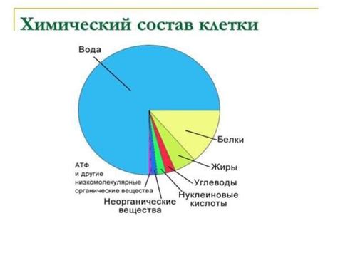 Какие компоненты включаются в состав KDV