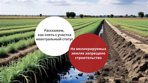 Какие меры принимаются при изменении статуса земли с временного на постоянный?