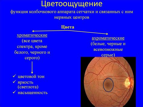 Какие методы диагностики исследуют зрительные функции при старческой катаракте?