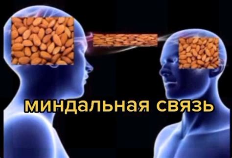 Какие недостатки может иметь миндальная связь?