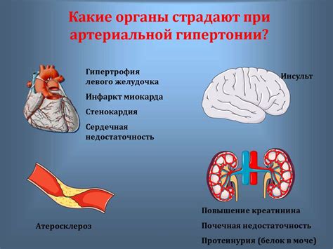 Какие органы и системы страдают от слабого тонуса сосудов