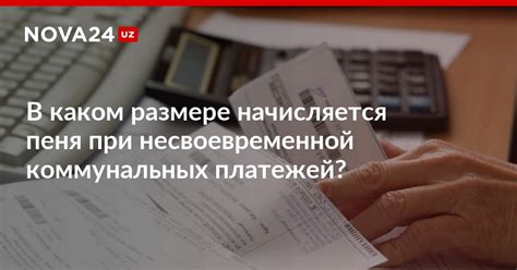 Какие последствия могут наступить при несвоевременной оплате коммунальных услуг с начислением пени?