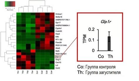 Какие последствия может иметь низкая экспрессия гена p53