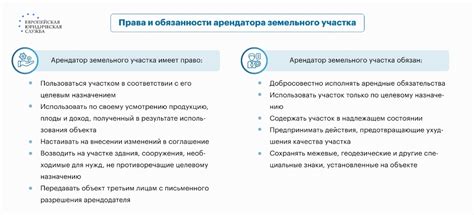 Какие права и обязанности имеет владелец сформированного земельного участка?