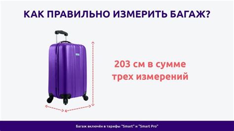 Какие предметы считать габаритами багажа в 203 сантиметра