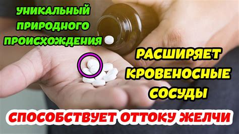 Какие препараты имеют желчегонное действие?