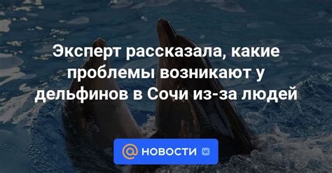 Какие проблемы возникают из-за неправильной громкости?