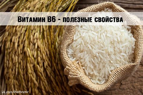 Какие продукты обладают высоким содержанием витамина РР?