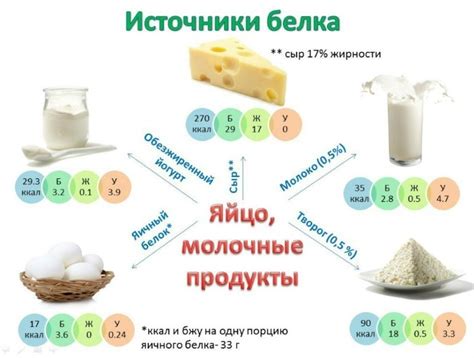 Какие продукты содержат нативный молочный белок