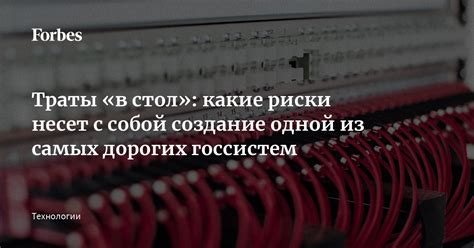 Какие риски несет присоединение к тусе джусе?