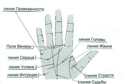 Какие сигналы дает гладение ладони