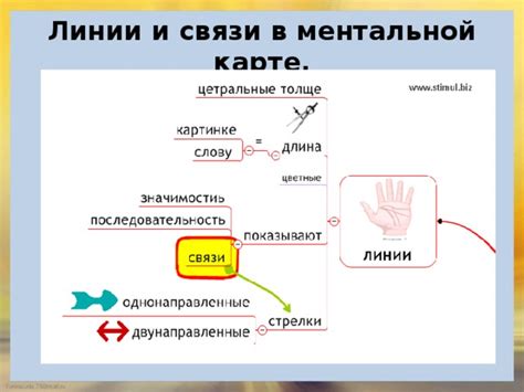 Какие сигналы происходят в процессе ментальной связи?