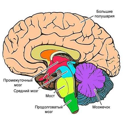 Какие симптомы возникают при увеличении цистерны мозга